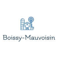 Enlèvement epave gratuit Boissy-Mauvoisin 78 par un epaviste agréé VHU