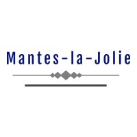 Enlèvement epave gratuit Mantes-la-Jolie  78 par un epaviste agréé VHU